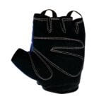 Glove..1